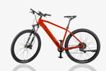 Carregar imagem no visualizador da galeria, ECONIC ONE Cross-Country | Sport e-Bike | 110 km - UNFUEL
