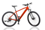 Carregar imagem no visualizador da galeria, ECONIC ONE Cross-Country | Sport e-Bike | 110 km - UNFUEL
