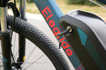 Carregar imagem no visualizador da galeria, Eleglide M1 e-bike | 65 km
