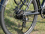 Carregar imagem no visualizador da galeria, Eleglide T1 e-bike | 100 km
