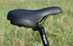Carregar imagem no visualizador da galeria, Eleglide T1 e-bike | 100 km
