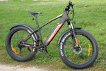 Carregar imagem no visualizador da galeria, Eleglide Tankroll Fat Tire e-bike | 70 km
