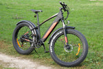 Carregar imagem no visualizador da galeria, Eleglide Tankroll Fat Tire e-bike | 70 km

