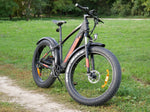 Carregar imagem no visualizador da galeria, Eleglide Tankroll Fat Tire e-bike | 70 km
