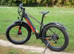 Carregar imagem no visualizador da galeria, Eleglide Tankroll Fat Tire e-bike | 70 km
