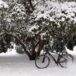 Carregar imagem no visualizador da galeria, ECONIC ONE Urban | City e-Bike | 110 km - UNFUEL
