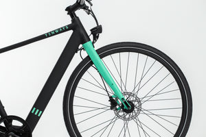 TENWAYS CGO600  | Urban e-Bike | 70 km