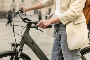 TENWAYS CGO800S  | Urban e-Bike | 100 km