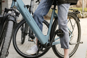 TENWAYS CGO800S  | Urban e-Bike | 100 km