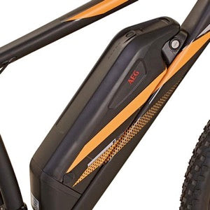 PROPHETE Graveler | e-MTB 29'' | AEG EasyDrive+ - UNFUEL