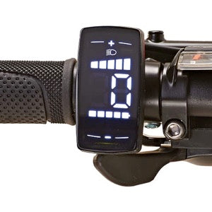 PROPHETE Graveler | e-MTB 29'' | AEG EasyDrive+ - UNFUEL