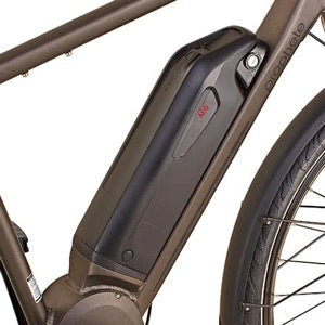 PROPHETE Entdecker | Trekking e-Bike | AEG EcoDrive | Senhor - UNFUEL