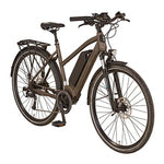 Carregar imagem no visualizador da galeria, PROPHETE Entdecker | Trekking e-Bike | AEG EcoDrive | Senhora - UNFUEL
