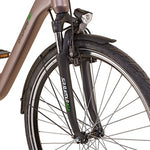 Carregar imagem no visualizador da galeria, PROPHETE Geniesser | City e-Bike | AEG EcoDrive C - UNFUEL
