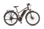 Carregar imagem no visualizador da galeria, PROPHETE Entdecker | Trekking e-Bike | AEG EcoDrive | Senhora - UNFUEL
