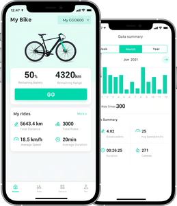 TENWAYS CGO600  | Urban e-Bike | 70 km