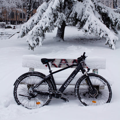 ECONIC ONE Urban | City e-Bike | 110 km - UNFUEL