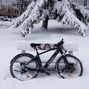 ECONIC ONE Urban | City e-Bike | 110 km - UNFUEL