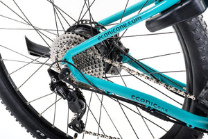 ECONIC ONE SMART Cross-Country | Sport e-Bike | 110 km - UNFUEL