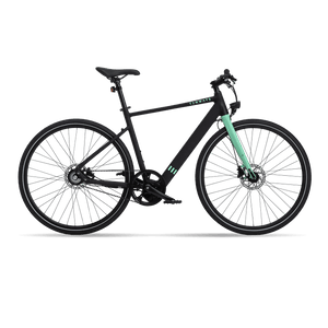 TENWAYS CGO600  | Urban e-Bike | 70 km