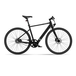 TENWAYS CGO600  | Urban e-Bike | 70 km