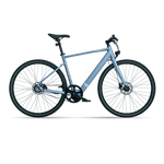 Carregar imagem no visualizador da galeria, TENWAYS CGO600  | Urban e-Bike | 70 km

