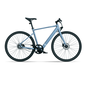 TENWAYS CGO600  | Urban e-Bike | 70 km